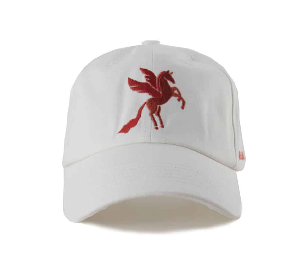 Cap: Pegasus